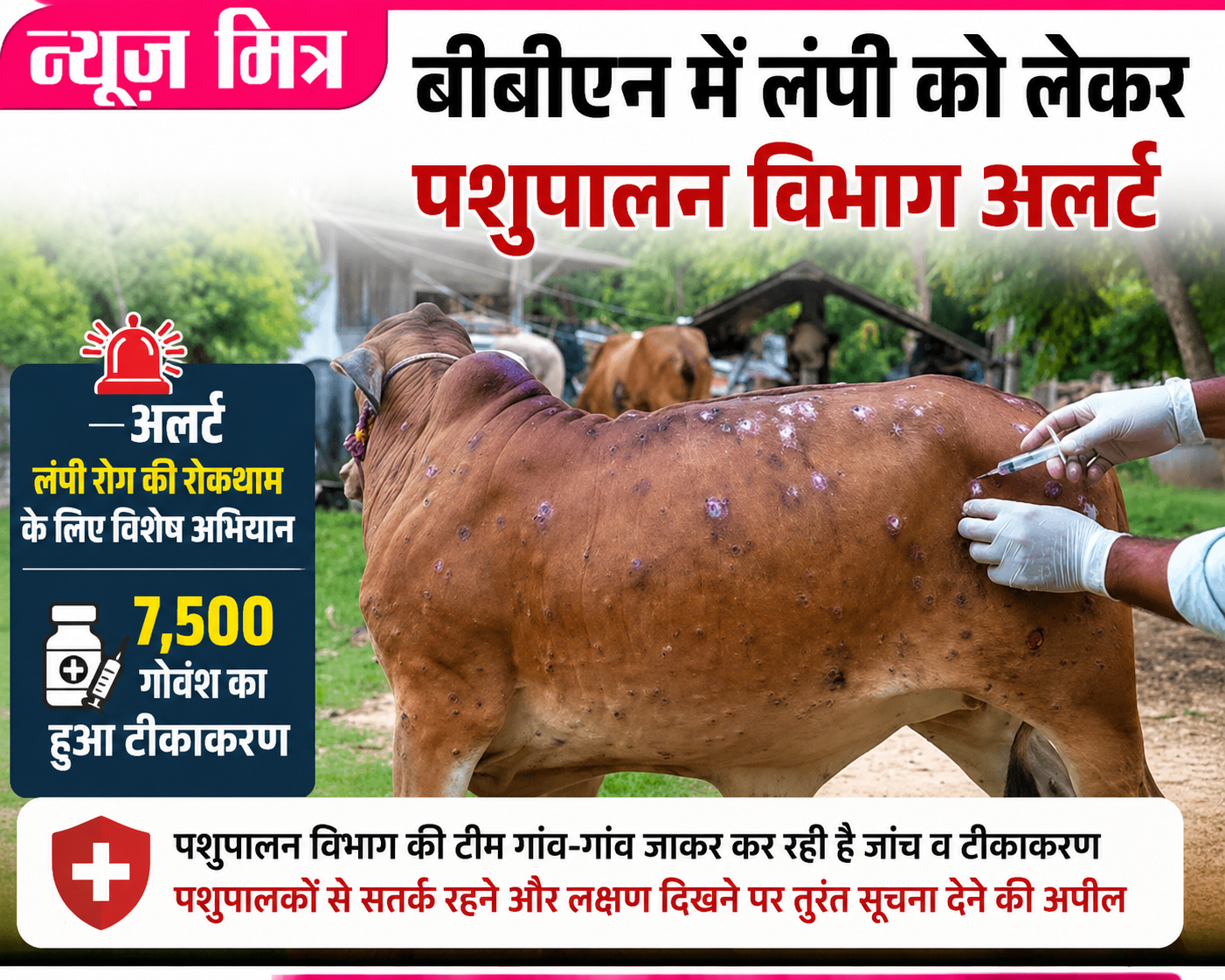 news -mitr