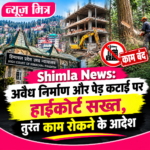 shimla news