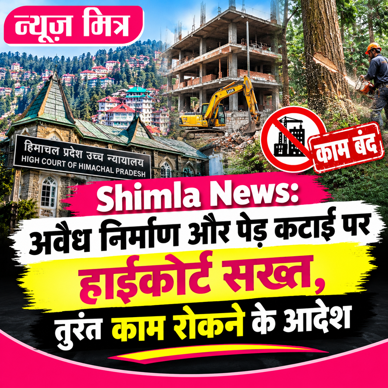 shimla news
